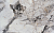 ззСтолешница 800 38 мм   №189Г Альберика
